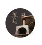 よひよつ（個別スタンプ：31）