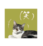 よひよつ（個別スタンプ：32）
