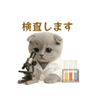 ネコしてます:本日も働いてます1（個別スタンプ：17）