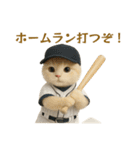 ネコしてます:本日も働いてます1（個別スタンプ：31）