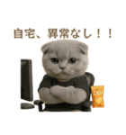 ネコしてます:本日も働いてます1（個別スタンプ：40）