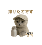 ネコしてます:本日も働いてます2（個別スタンプ：4）
