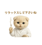 ネコしてます:本日も働いてます2（個別スタンプ：11）