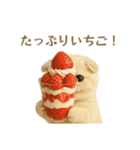 ネコしてます:レトロ喫茶（個別スタンプ：4）