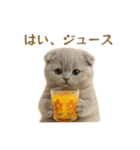 ネコしてます:レトロ喫茶（個別スタンプ：11）