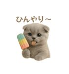 ネコしてます:レトロ喫茶（個別スタンプ：12）