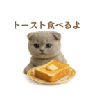 ネコしてます:レトロ喫茶（個別スタンプ：19）
