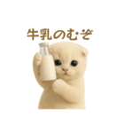 ネコしてます:レトロ喫茶（個別スタンプ：30）