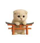 ネコしてます:まるごと可愛い1（文字なし）（個別スタンプ：5）