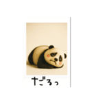 mottoのポラパンダ♡便利（個別スタンプ：38）