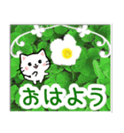 飛び出す！大人やさしい野の花とネコ（個別スタンプ：2）