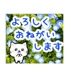 飛び出す！大人やさしい野の花とネコ（個別スタンプ：5）