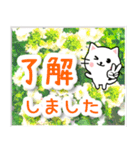 飛び出す！大人やさしい野の花とネコ（個別スタンプ：6）