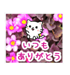 飛び出す！大人やさしい野の花とネコ（個別スタンプ：8）