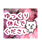 飛び出す！大人やさしい野の花とネコ（個別スタンプ：16）