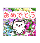 飛び出す！大人やさしい野の花とネコ（個別スタンプ：18）