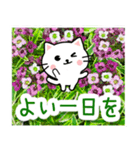 飛び出す！大人やさしい野の花とネコ（個別スタンプ：22）