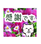 飛び出す！大人やさしい野の花とネコ（個別スタンプ：23）