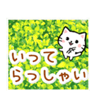 飛び出す！大人やさしい野の花とネコ（個別スタンプ：24）