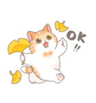 ちょっと暑い秋を過ごす猫のトミー（個別スタンプ：5）