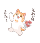 ちょっと暑い秋を過ごす猫のトミー（個別スタンプ：29）