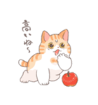 ちょっと暑い秋を過ごす猫のトミー（個別スタンプ：31）