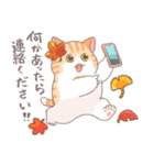 ちょっと暑い秋を過ごす猫のトミー（個別スタンプ：32）