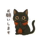 猫がいっぱい♡可愛い黒猫♡絵本（個別スタンプ：22）