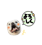 トビーさんスタンプ（個別スタンプ：4）