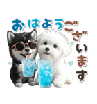 豆柴(黒柴)♡ゴールデンドゥードル DOGs（個別スタンプ：1）