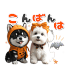 豆柴(黒柴)♡ゴールデンドゥードル DOGs（個別スタンプ：3）