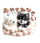 豆柴(黒柴)♡ゴールデンドゥードル DOGs（個別スタンプ：4）