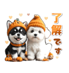 豆柴(黒柴)♡ゴールデンドゥードル DOGs（個別スタンプ：5）