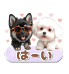 豆柴(黒柴)♡ゴールデンドゥードル DOGs（個別スタンプ：6）