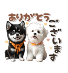 豆柴(黒柴)♡ゴールデンドゥードル DOGs（個別スタンプ：9）