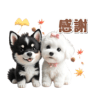 豆柴(黒柴)♡ゴールデンドゥードル DOGs（個別スタンプ：10）