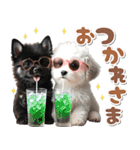 豆柴(黒柴)♡ゴールデンドゥードル DOGs（個別スタンプ：13）