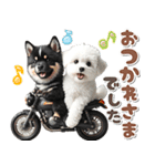 豆柴(黒柴)♡ゴールデンドゥードル DOGs（個別スタンプ：14）