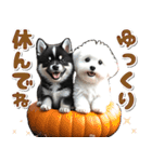 豆柴(黒柴)♡ゴールデンドゥードル DOGs（個別スタンプ：15）