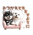 豆柴(黒柴)♡ゴールデンドゥードル DOGs（個別スタンプ：16）