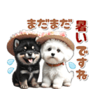 豆柴(黒柴)♡ゴールデンドゥードル DOGs（個別スタンプ：17）