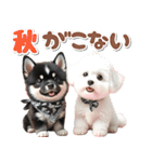 豆柴(黒柴)♡ゴールデンドゥードル DOGs（個別スタンプ：18）