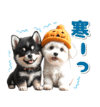 豆柴(黒柴)♡ゴールデンドゥードル DOGs（個別スタンプ：20）