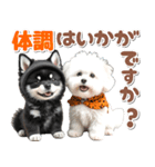 豆柴(黒柴)♡ゴールデンドゥードル DOGs（個別スタンプ：25）