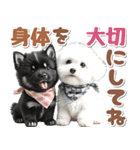 豆柴(黒柴)♡ゴールデンドゥードル DOGs（個別スタンプ：26）