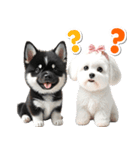 豆柴(黒柴)♡ゴールデンドゥードル DOGs（個別スタンプ：30）