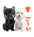豆柴(黒柴)♡ゴールデンドゥードル DOGs（個別スタンプ：31）
