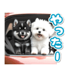 豆柴(黒柴)♡ゴールデンドゥードル DOGs（個別スタンプ：32）