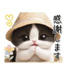 可愛いハチワレ猫 思いやり 麦わら帽 敬語（個別スタンプ：5）