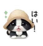 可愛いハチワレ猫 思いやり 麦わら帽 敬語（個別スタンプ：10）